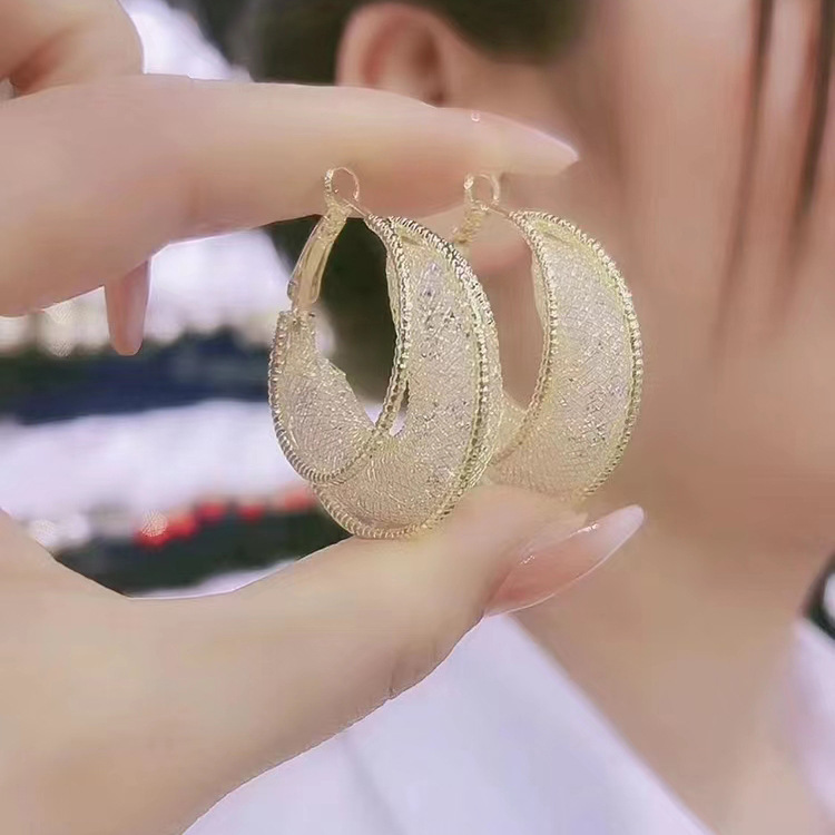 Women's earrings New Temperament Fashion Hoop Earrings Western Style High-end Crystal Earrings Light Luxury Unique Versatile Ear Accessories_voghion.com