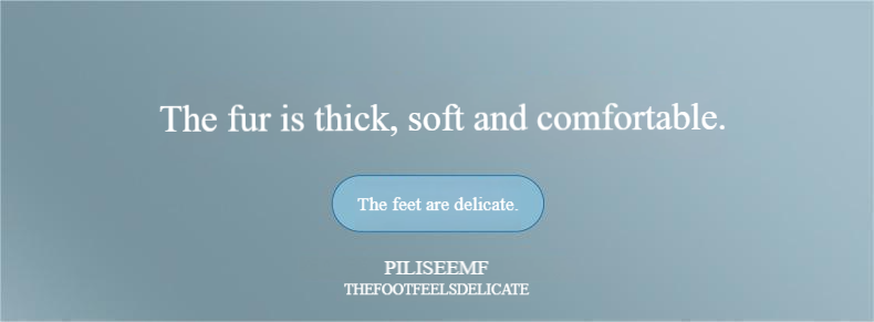 Tappetino da bagno in pile corallo tinta unita - Super assorbente e antiscivolo (spesso, facile da pulire, ad asciugatura rapida)_voghion.com