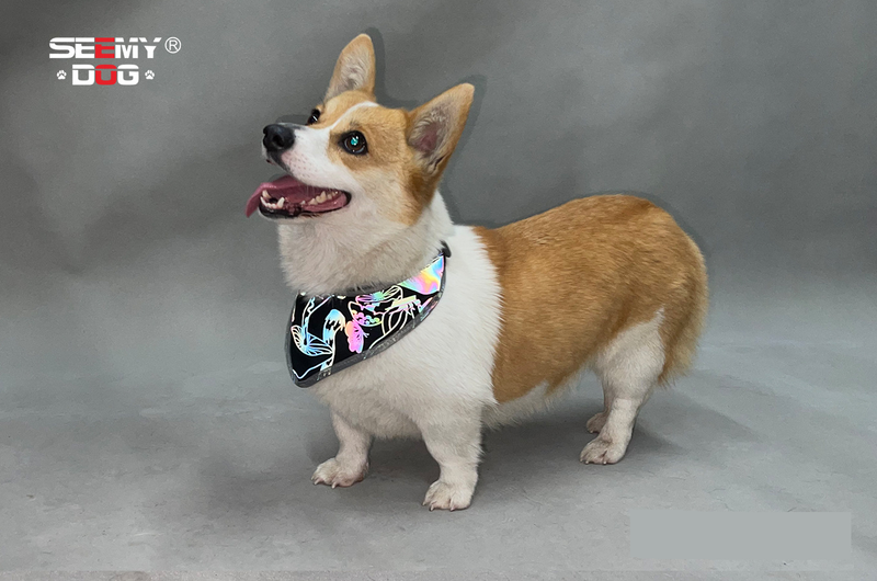 Pet Products Reflecterende sjaal voor huisdieren, hoge zichtbaarheid, verstelbare elastische halsband met drukknoopsluiting, regenboog reflecterende strepen, veilige zachte polyesterstof_voghion.com