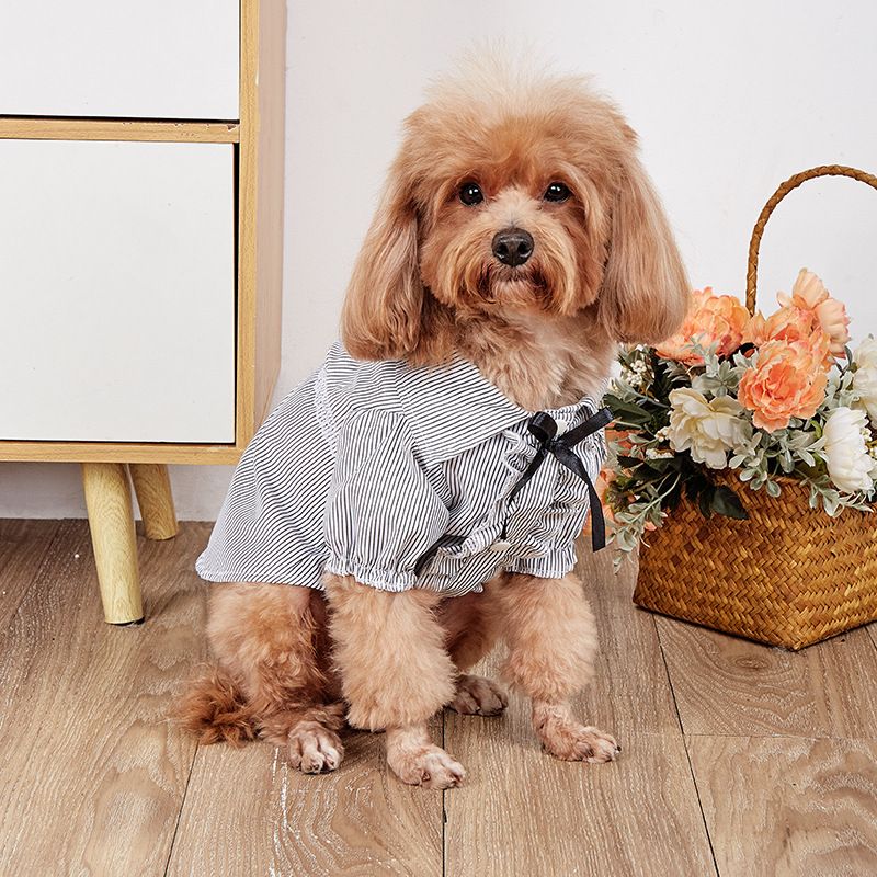 Schwarz Weiß Blau Plaid Stil Katze Kleidung Trendy Marke Rock Neue Vielseitige Haar Zubehör Hund Kleidung_voghion.com