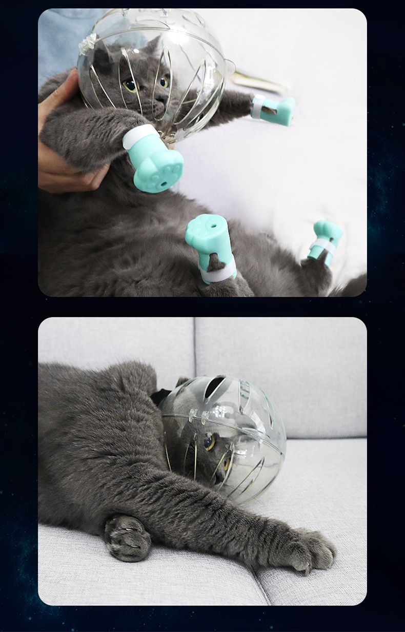 Pet Mouth Space Hund Anti-bitt Gjennomsiktig plasthodedeksel, Kattemaske_voghion.com