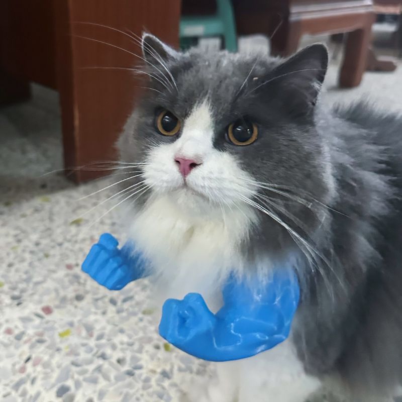 Collana per animali domestici con braccio stampato in 3D - Accessorio multicolore per cosplay di gatti e cani, divertente giocattolo per Halloween e feste (plastica PETG, cinturino regolabile)_voghion.com