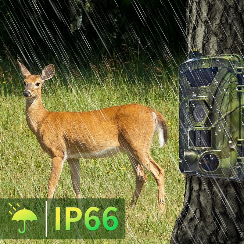 Ultra HD Hunting Camera With Night Vision & 4G Connectivity – 60MP Photos, Motion Detection For Wildlife, Pets & Home Security_voghion.com