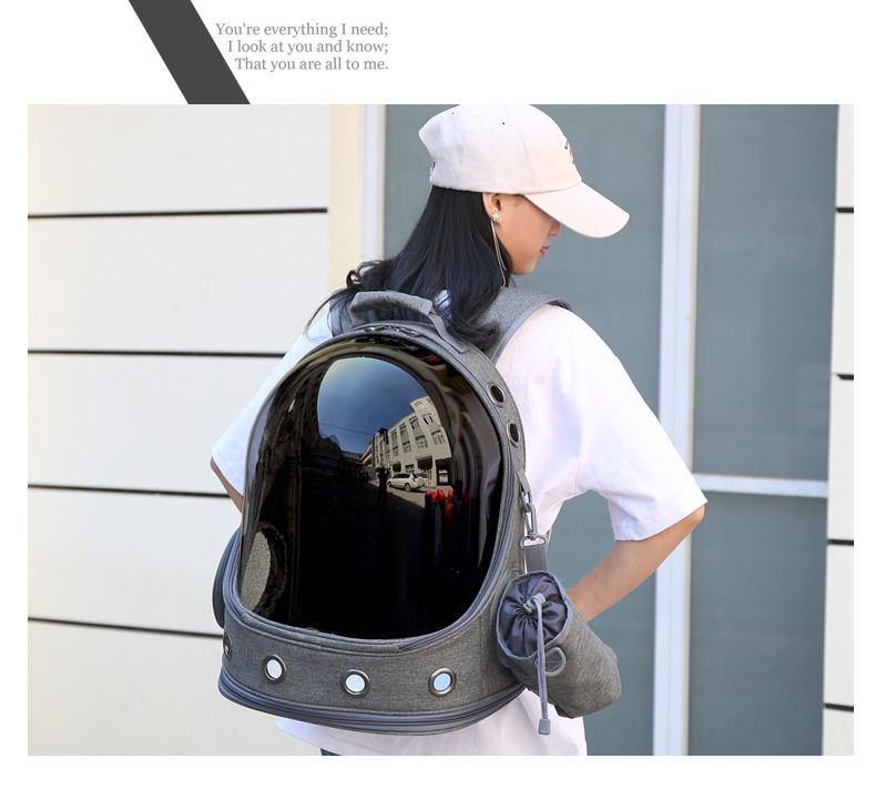 Nova cabine de paisagem completa transparente para cães e gatos, bolsa de ombro com espaço para animais de estimação_voghion.com