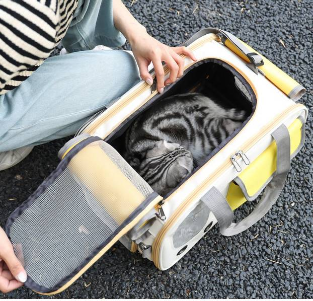 Designer fashion new cat pet bag out portable handbag Breathable pet four seasons universal roller curtain bag_voghion.com
