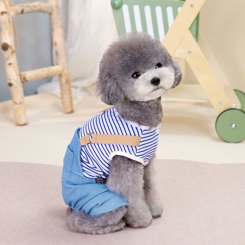 Accueil Vêtements pour animaux de compagnie Printemps/Été Nouveau 24 Pantalons à quatre pattes en denim_voghion.com