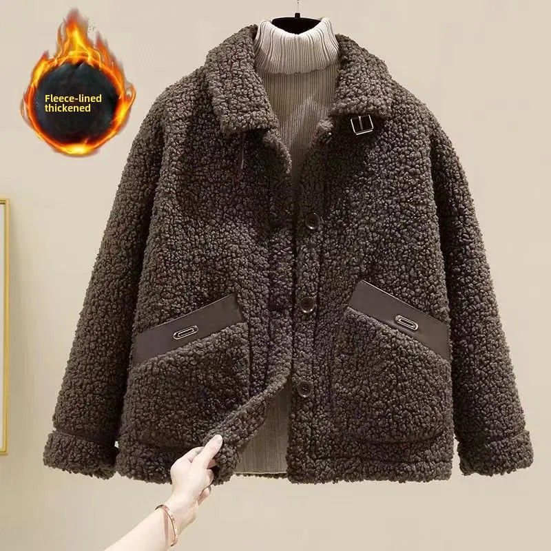 Lamb Fur Short Jacket Women's Hot Sale Of The Season New Autumn Winter Korean Style Integrated Particle Fleece Compact Size Vers_voghion.com