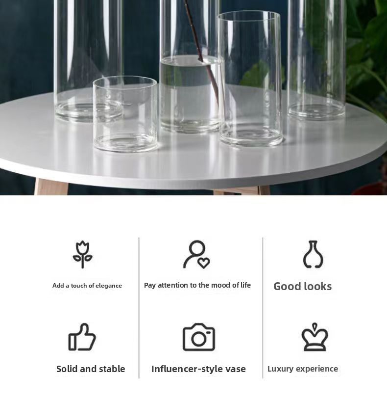 Zefei Internet Celebrity Vaso in vetro trasparente dritto per camera da letto Scrivania Soggiorno Tavolo da pranzo Fiore fresco_voghion.com