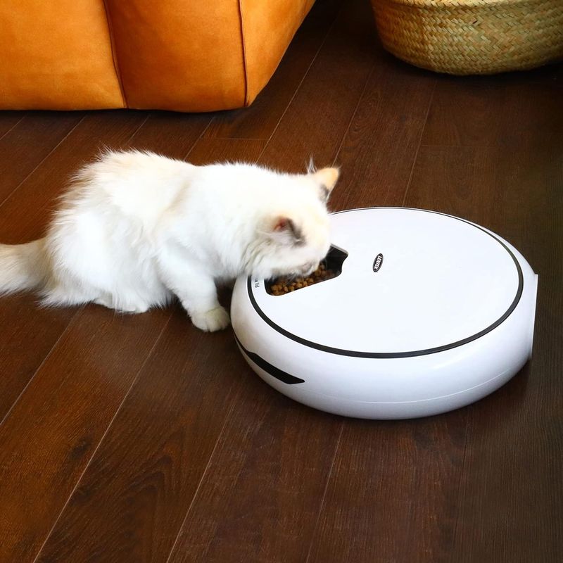 Mangeoire automatique pour chat à 5 repas, distributeur d'aliments humides ou secs pour animaux de compagnie, mangeoires automatiques pour animaux de compagnie avec minuterie, Futterautomat Katze, Futterautomat Katze Nassfutter, Wei_voghion.com