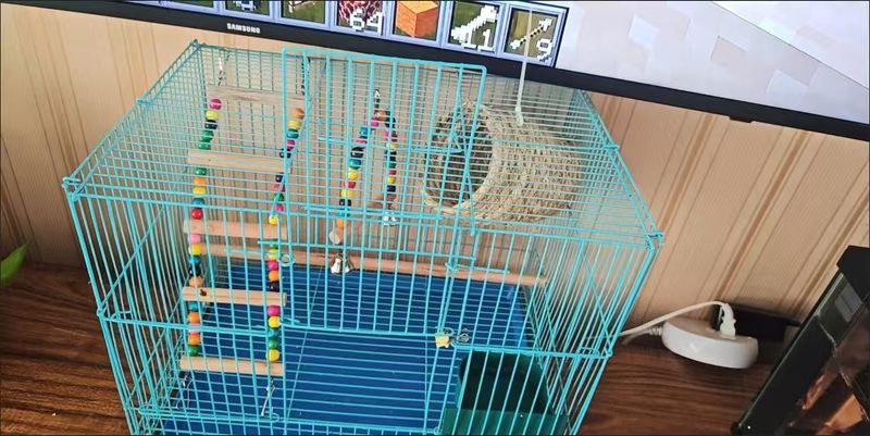 Bird Cage Large Household Parrot Cage Myna Cage Acacia Breeding_voghion.com