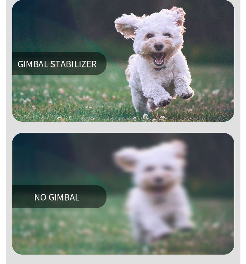 Handheld Gimbal Stabilizer Stick L09 Bluetooth Mobile Phone Holder Adjustable Fill Light Selfie Stand For IPhone/Xiaomi_voghion.com