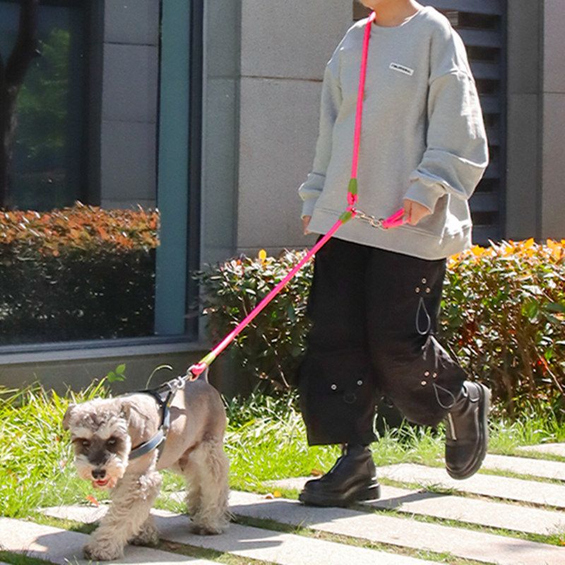 Adjustable Hands Free Nylon Dog Leash By PawParty Store_voghion.com