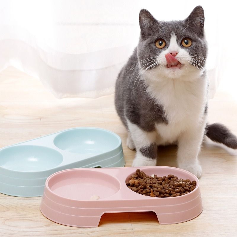 Star Fun Wassernapf für Hunde und Katzen, klein, doppelt, rosa/blau_voghion.com