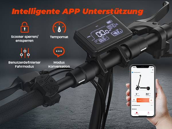 isinwheel T4 Elektroroller mit ABE-Zertifizierung, 1000 W 48 V 12,5 Ah Akku, 10 Zoll Offroad-Scooter für Erwachsene mit App-Steuerung_voghion.com