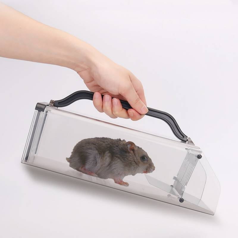 Muiskooi 1PC Muizenval Muis vangen Efficiënt de muis uitroeien _voghion.com