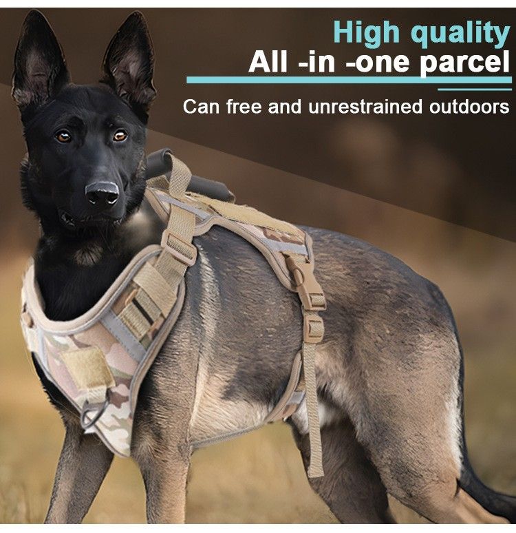 Pet 2024 per cani di taglia media e grande, imbracatura tattica in stile gilet, guinzaglio per passeggiate con il cane_voghion.com