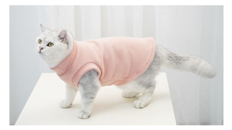 Pet it solid color warm dog clothes winter pet sweater casual Bichon Corgi Shiba Inu Border Collie_voghion.com