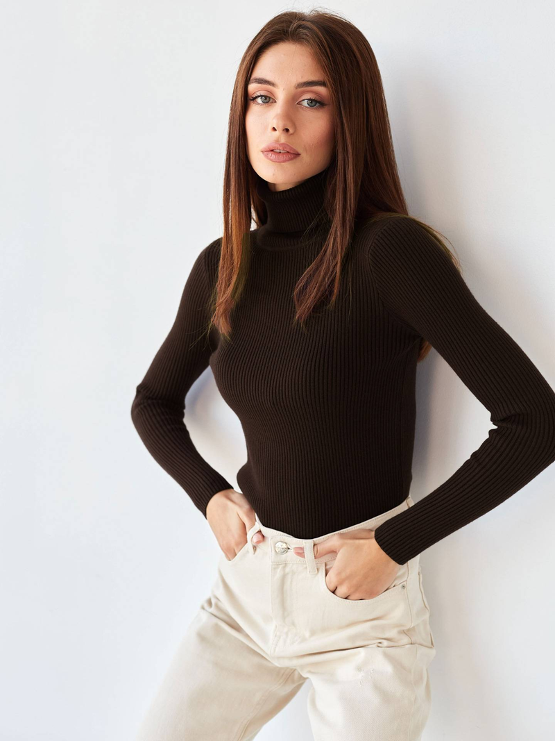 Frauen Herbst Rollkragenpullover Gestrickte Weiche Pullover Kaschmir Jumper Grundlegende Weiche Pullover Für Frauen 2024 Herbst Winter_voghion.com