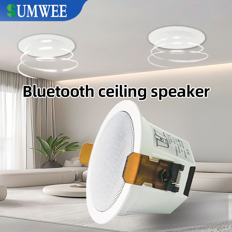 2 Inch Mini Home Audio Bluetooth Ceiling Speaker Stereo Sound Indoor Speakers High Quality Sound Background Music System_voghion.com