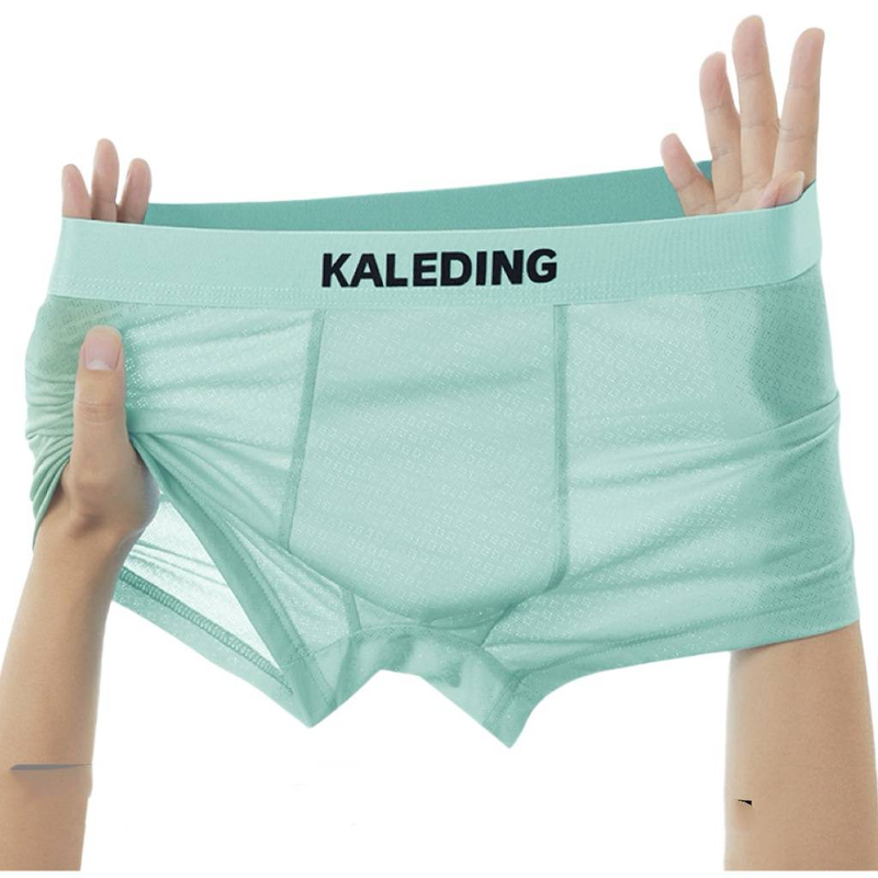 Intimo da uomo estivo in seta ghiacciata, boxer da uomo ultrasottili e freschi, comodi e traspiranti, per adolescenti._voghion.com