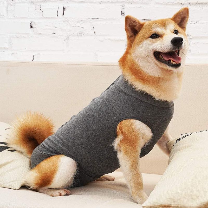 Colete de proteção fisiológica para cães, prevenção de lambidas e feridas, roupa para castração pós-cirúrgica_voghion.com