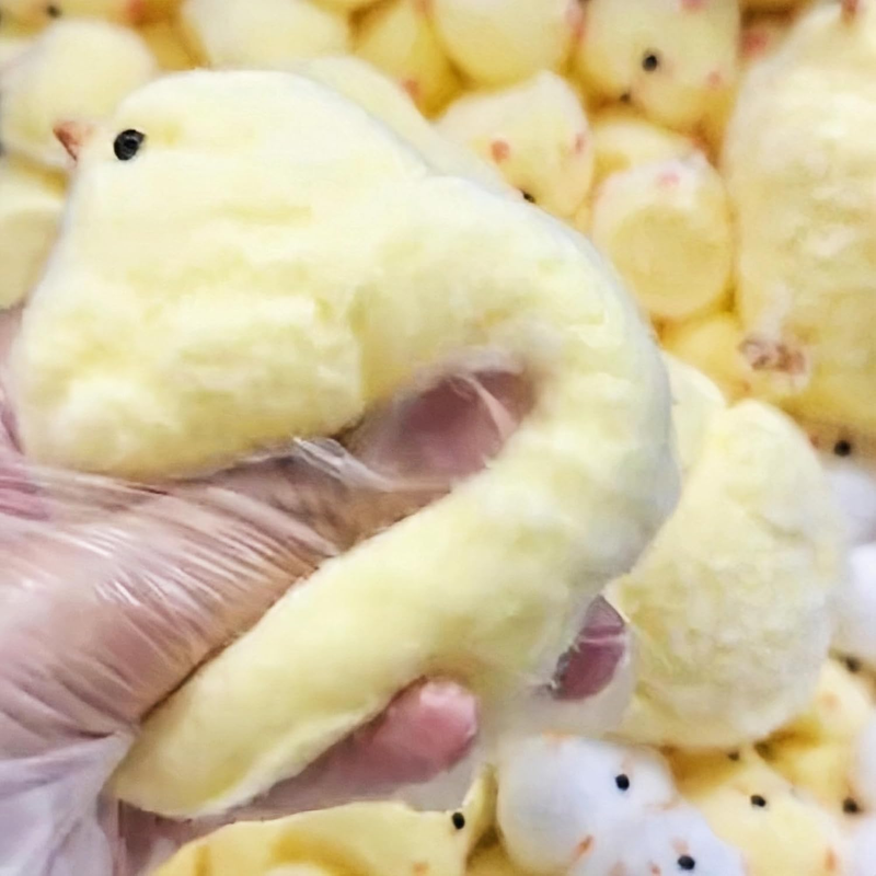 Handgemachtes Chick Taba Squishy Toys, ultraweiches Squishy Fidget Toys, Silikon-Quetschspielzeug für Kinder und Erwachsene (Huhn)_voghion.com