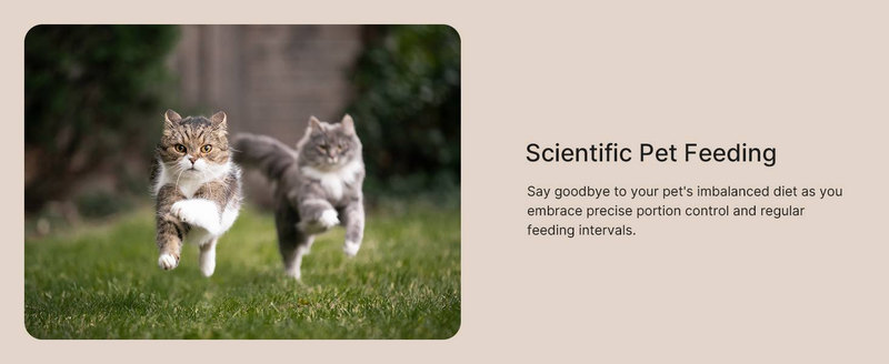 VOLUAS Automatic Cat Feeders - Pet Dry Food Dispenser With Timer, Automatic Cat Feeders With Desiccant Bag, Programmable Portion Size Control_voghion.com