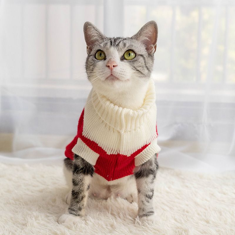 CDDMPET Winter Knitted Sweater For Dogs By PawParty Store_voghion.com