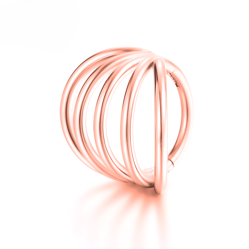 F136 Anello al naso in titanio Piercing al trago Cartilagine Segmento incernierato Daith Elica 16G Orecchio Spirale Setto Labret Gioielli per il corpo all'ingrosso_voghion.com