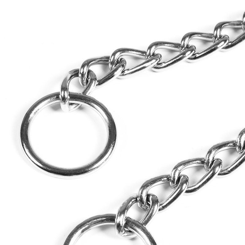 Adjustable Metal Double Loop Anti-Bite Dog Leash Necklace Neck Ring P Chain Pet Collar_voghion.com