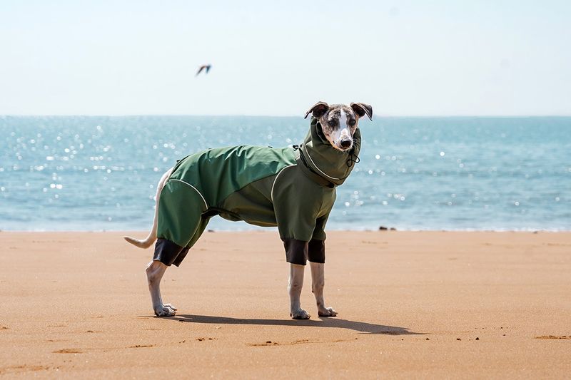 Dog Four-Legged Raincoat Waterproof Wear-Resistant Lightweight Jacket Pet-Specific Rainy Day Full Coverage Windproof Pet_voghion.com