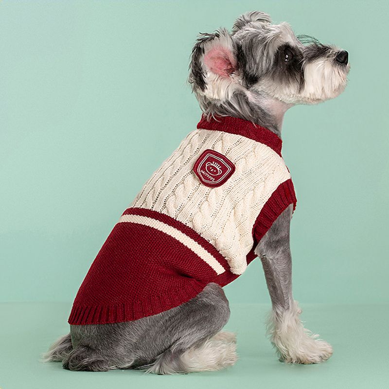 Vêtements pour animaux de compagnie style étudiant : chats, pull, vêtements chauds pour chiots, veste pour petits et moyens chiens, gilet pour chihuahua, boutique PawParty_voghion.com