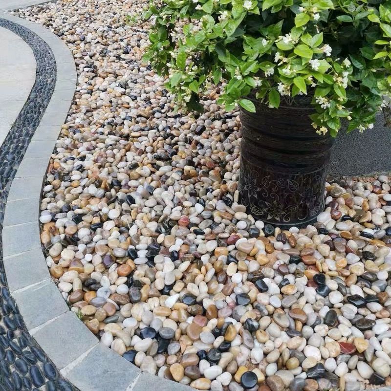 【 422000 recensioni 】 Pavimentazione in ciottoli da 5 libbre per cortile, decorazione per balcone da giardino, originale fiore di pioggia colorato_voghion.com