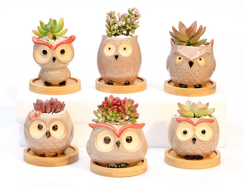 Owl Ceramic Planter 8cm - Mini Cactus Flower Pot Handmade Succulent Container With Drain Hole Gift_voghion.com