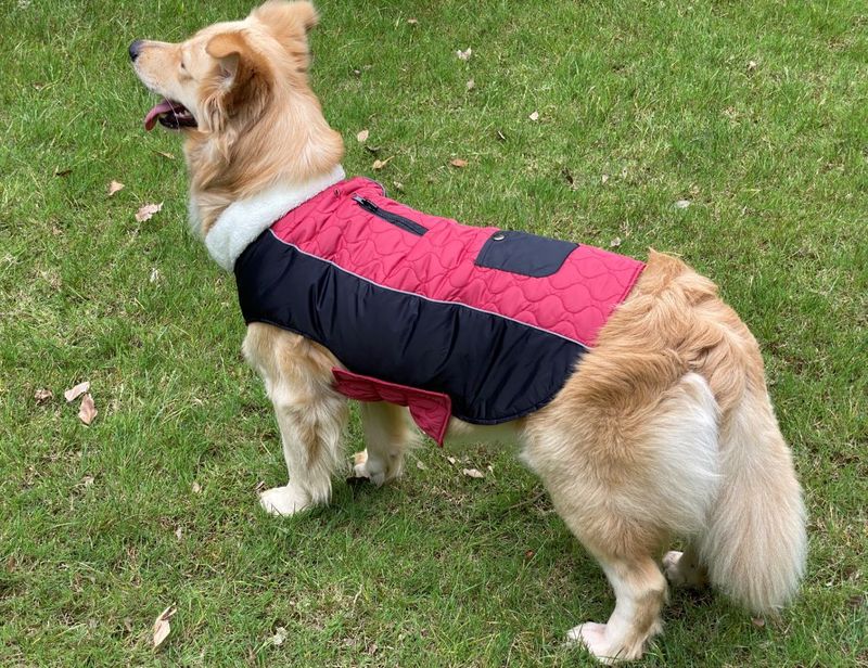 Pocket new pet clothes autumn and winter dog clothes vest cotton coat double sided wearable dog clothes coat clothing_voghion.com