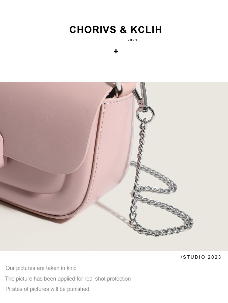 Niche design bag 2024 early spring new handbag women's bag fashion one shoulder pig bag texture all match crossbody bag_voghion.com