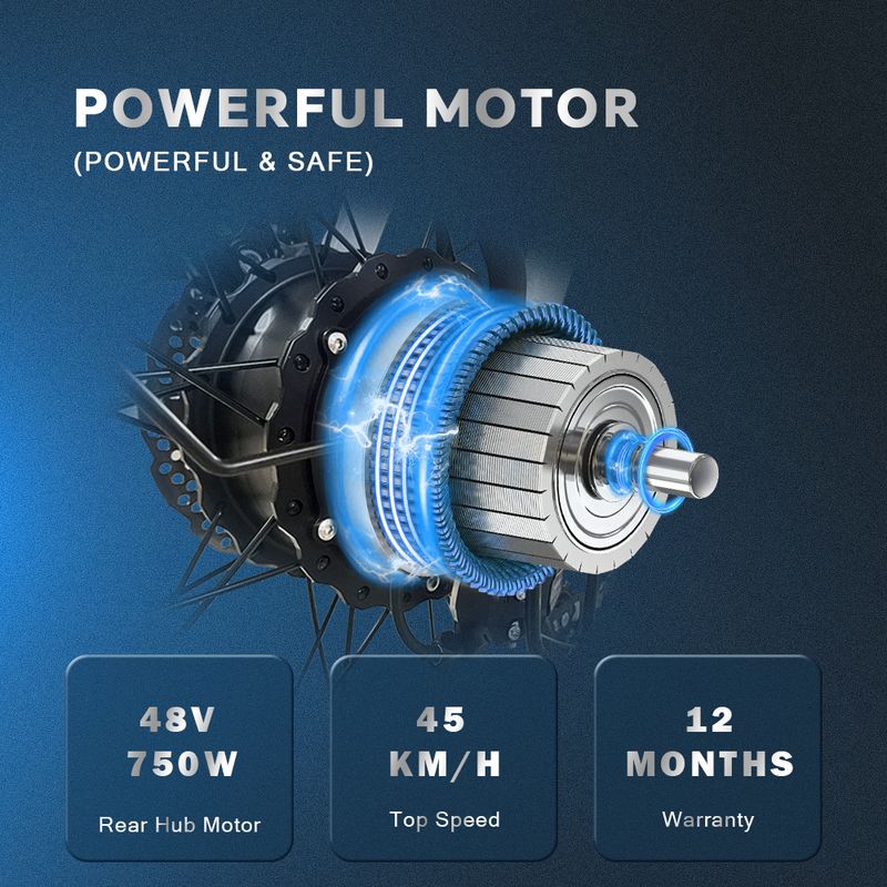 DRVETION CT20 Step-Thru Electric Bike 250W Motor 48V 15Ah Battery_voghion.com
