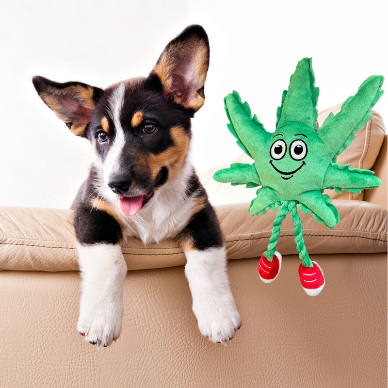 MJ the Leaf 420 Dog ToyMJ the Leaf 420 Dog Toy_voghion.com