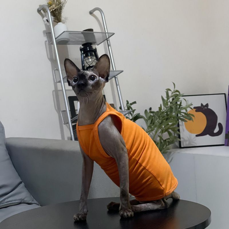 Hairless Summer Strap Thin Breathable Air-conditioned Room Multi-color Short-legged German Sphynx Cat Clothes Niliu_voghion.com