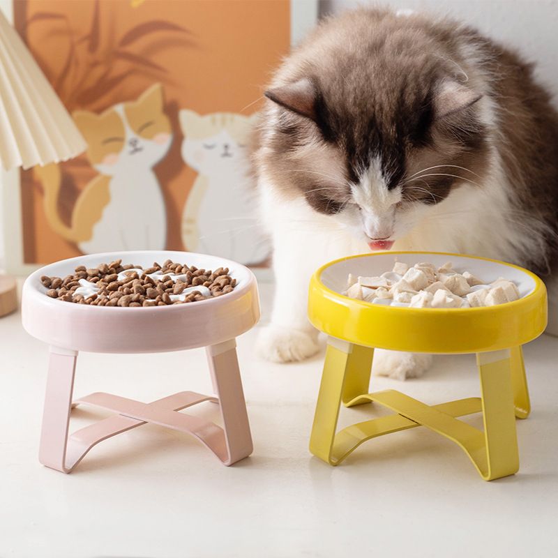 Ceramic Pet Neck Protection Anti-Choking Slow Feeder Cat Bowl Dog Food Dish_voghion.com
