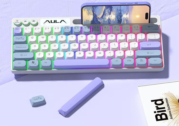 Wolf Spider F3061 Gaming Mini Mechanical Keyboard 61 Keys RGB Colorful Lighting Wired Portable_voghion.com