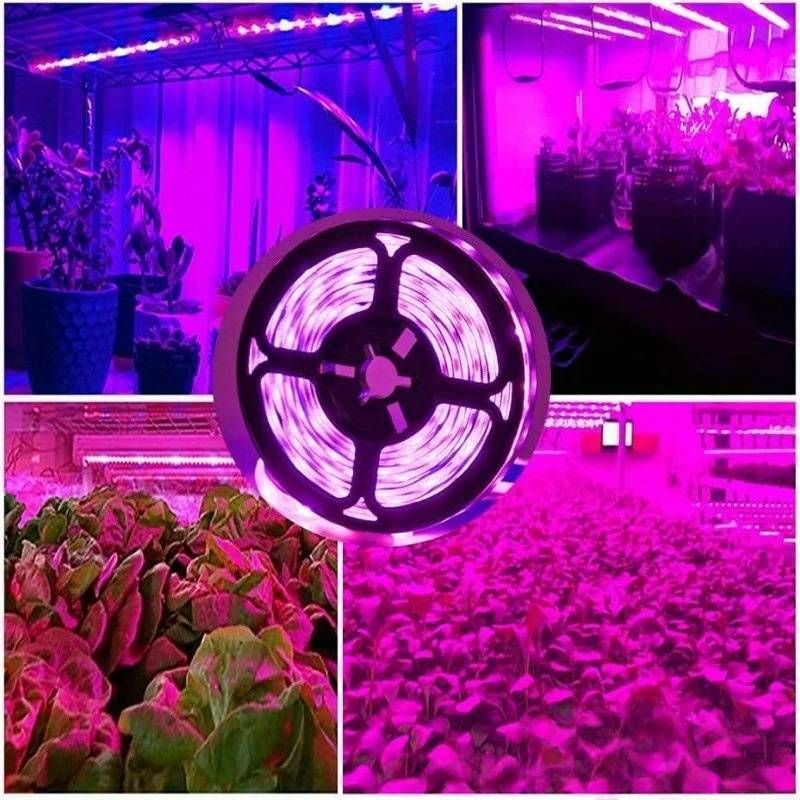 5V, pełnospektralna taśma świetlna LED do uprawy roślin, układ scalony 2835, 30 diod LED/metr, zasilanie przez USB, idealna do sukulentów, kwiatów i ogrodnictwa w pomieszczeniach_voghion.com