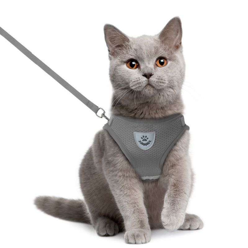 Katzengeschirr Weste Gehleine Leine Für Welpen Hundehalsband Polyester Verstellbares Hundegeschirr Aus Mesh Für Kleine Mittelgroße Haustierzubehör_voghion.com