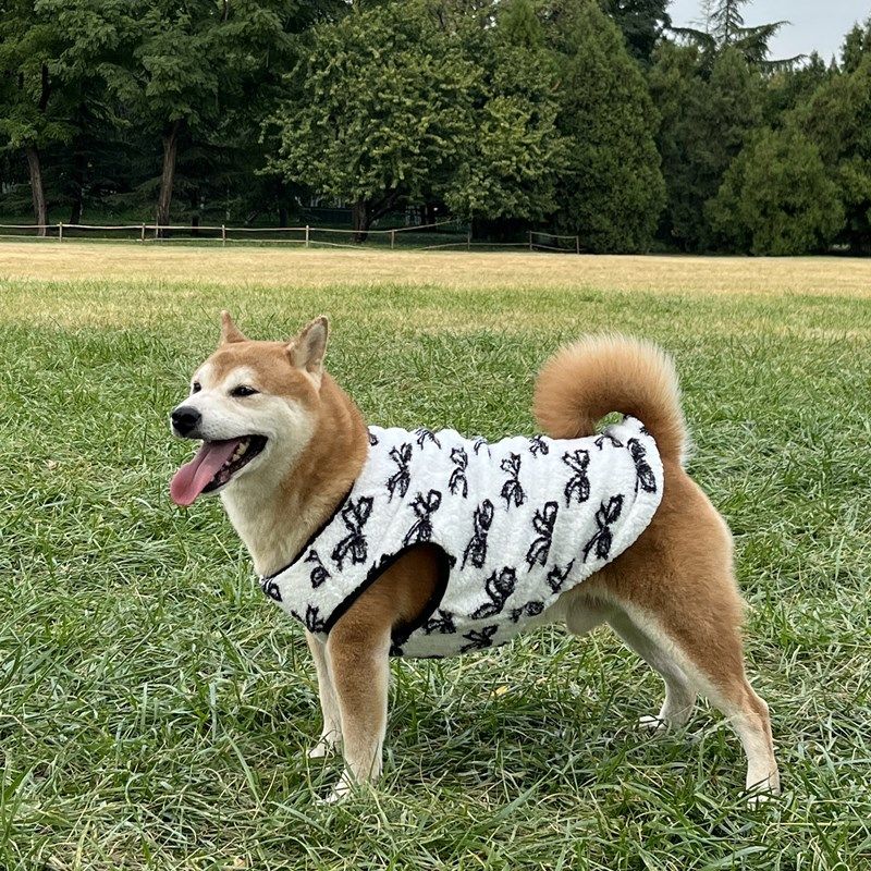Abbigliamento per cani Autunno Inverno Gilet in pile Golden Retriever Labrador Samoiedo Border Collie Shiba Inu Corgi Cani di taglia media e grande_voghion.com