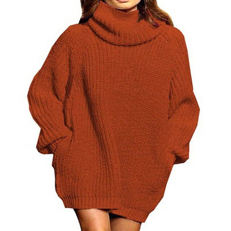 Women's autumn and winter fashion long sleeve turtle neck ladies long knit dress women's dress_voghion.com