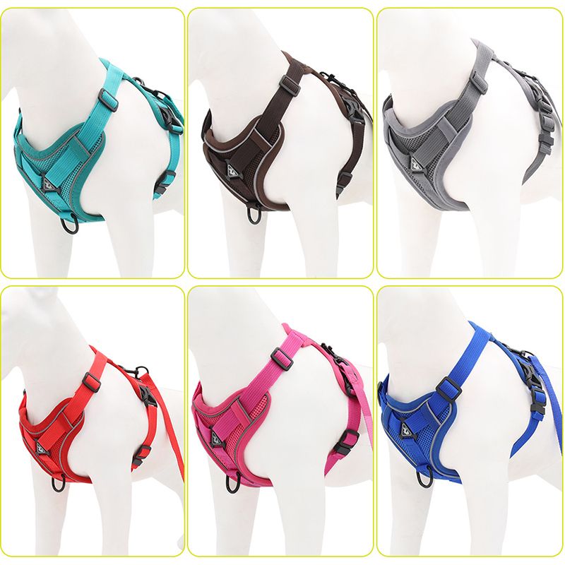 CDDMPET Adjustable No-Pull Dog Harness And Leash By PawParty Store_voghion.com
