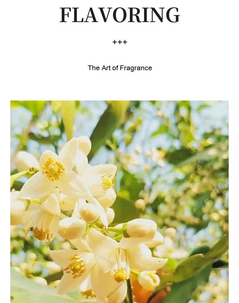 Kostengünstiges Night of Gabrielle Glass Dauerhafter Duft Frisches, natürliches Damenparfüm 55ML_voghion.com