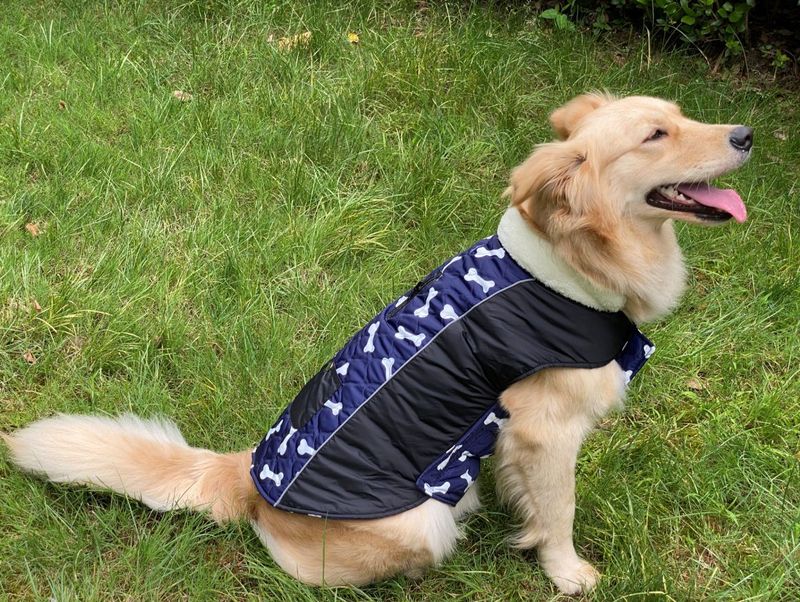 Pocket new pet clothes autumn and winter dog clothes vest cotton coat double sided wearable dog clothes coat clothing_voghion.com