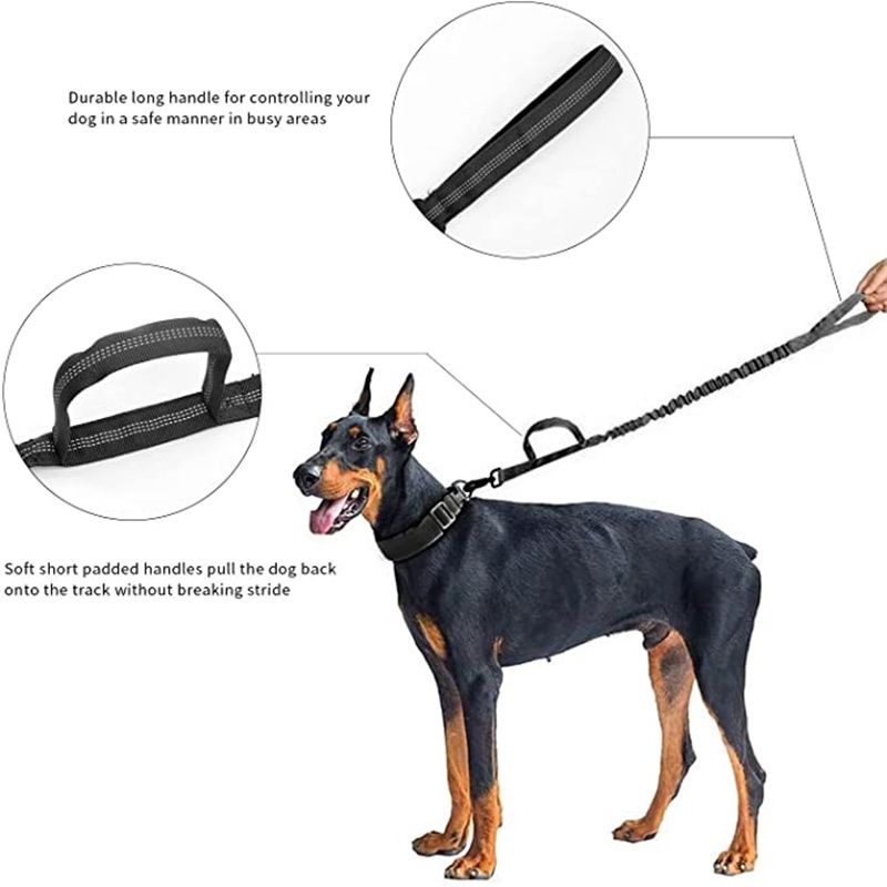 1 Stéck Haltbaren Takteschen Hondshalsband a Leesch Verstellbar Militär Hausdéierhalsband Leesch Mëttelgrouss Hond Däitsche Schäferhund Trainingsaccessoiren_voghion.com