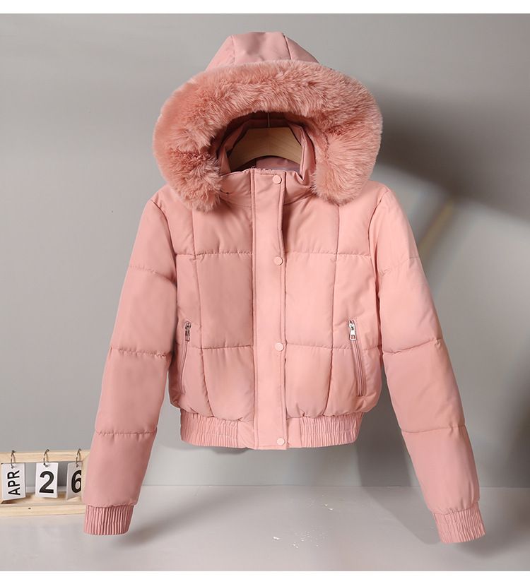 Women's Clothing short parka plus velvet thickened student cotton jacket large fur collar flat coat coat_voghion.com